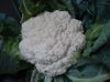 Fresh Frozen Cauliflower With Green Stalks