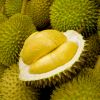 Durian