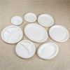 sugarcane bagasse disposable biodegradable paper plate