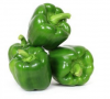 Fresh Capsicum