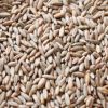 Organic Farm Rye grain/Winter Rye/Rye Flakes in Rye bran