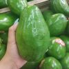 High Quality, Fresh Avocado - Best Seller in Europe