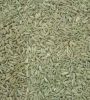 High quality cumin seeds and fennel seeds