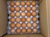 FRESH CHICKEN TABLE EGGS FOR EXPORT