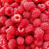 Fresh Raspberry