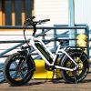 WHD. 750W 28MPH Electric Bicycle Bike 20