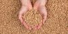 2022 WOOD PELLET FUEL