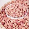 Hot Sale Peanut Kernels China Factory Directly