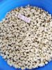 Supplier of Cashew Nuts in Bulk