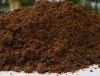 Selling Palm Kernel Cake