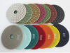 Diamond Polishing Pad