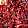 export fresh chilli/chilli powder/Chinese chilli