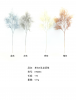 Single Stem 5 Branches Longxu Grass