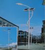 Sell Path Solar Street Light TYN-012