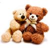 plush teddy bear, plush toys , plush animal toys