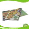 EX-PL-001 Custom Logo printed disposable paper tray liner