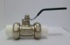 Sell Double-head PPR Brass Ball Valve