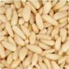 Sell Pinenuts