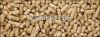 Wood Pellets