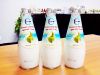 Sell Coconut milk drink with nata de coco