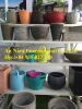 Cermaic Flower Pot - whatsApp: +84935027124