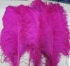 Sell white and pink ostrich feathers and plumes