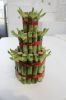 Supply Lucky bamboo 3 layer tower