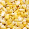 Sell yellow corn