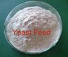 Sell feed yeast 45%