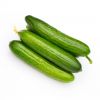 Hot sale of high quality fresh cucumber accept custom planting