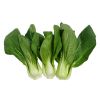 Hot sale of high quality fresh pak choi accept custom planting