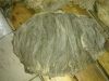 Salted Buffalo Omasum