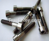 titanium flange bolts