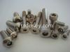 Stainless Steel Screws