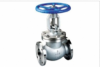 Ball valve Globe valve class 600&900 Stainless Good quality