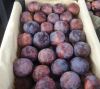 Fresh Plums