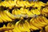 Organic Banana