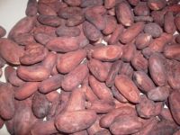 Sell dried cocoa beans