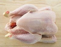 Sell Whole chicken
