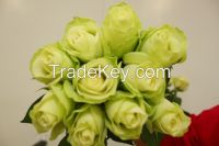 fresh cut flowers