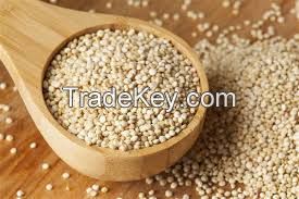 Organic WHITE QUINOA Grain from Peruvian Andes