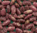 kidney bean