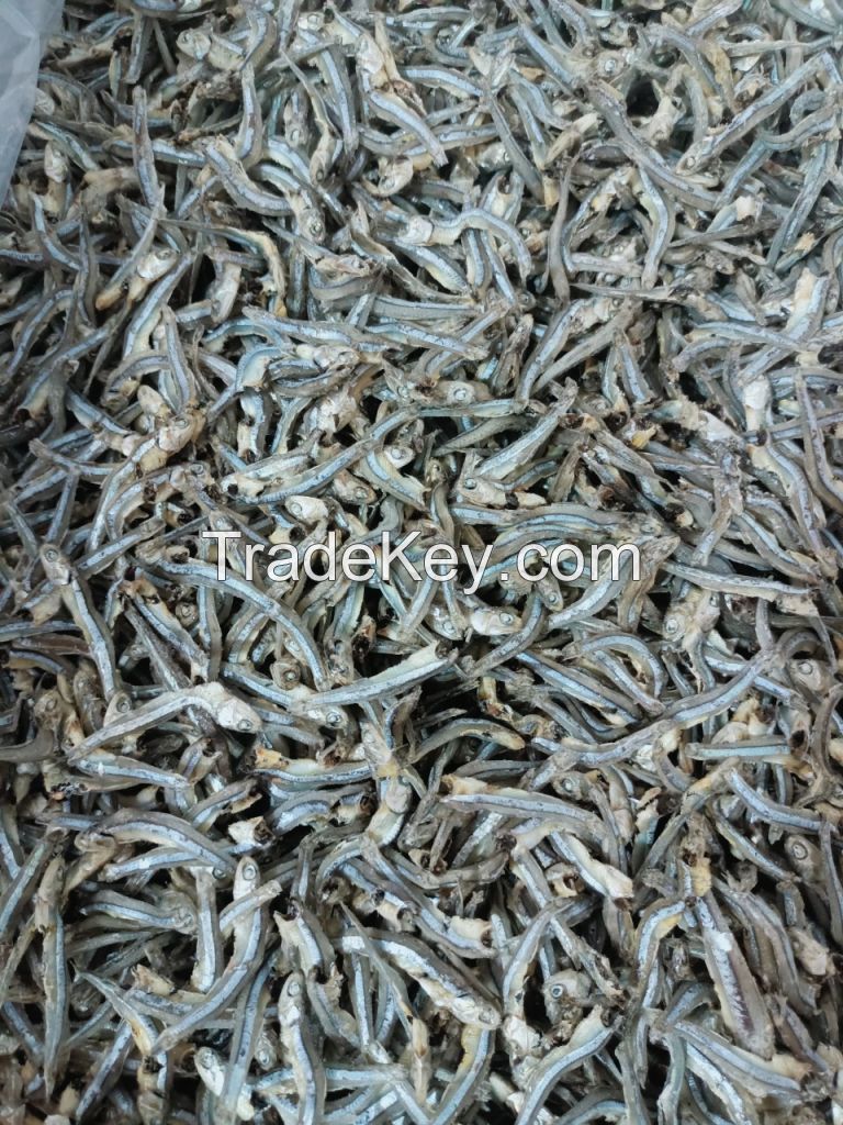 Dried Anchovy Fish