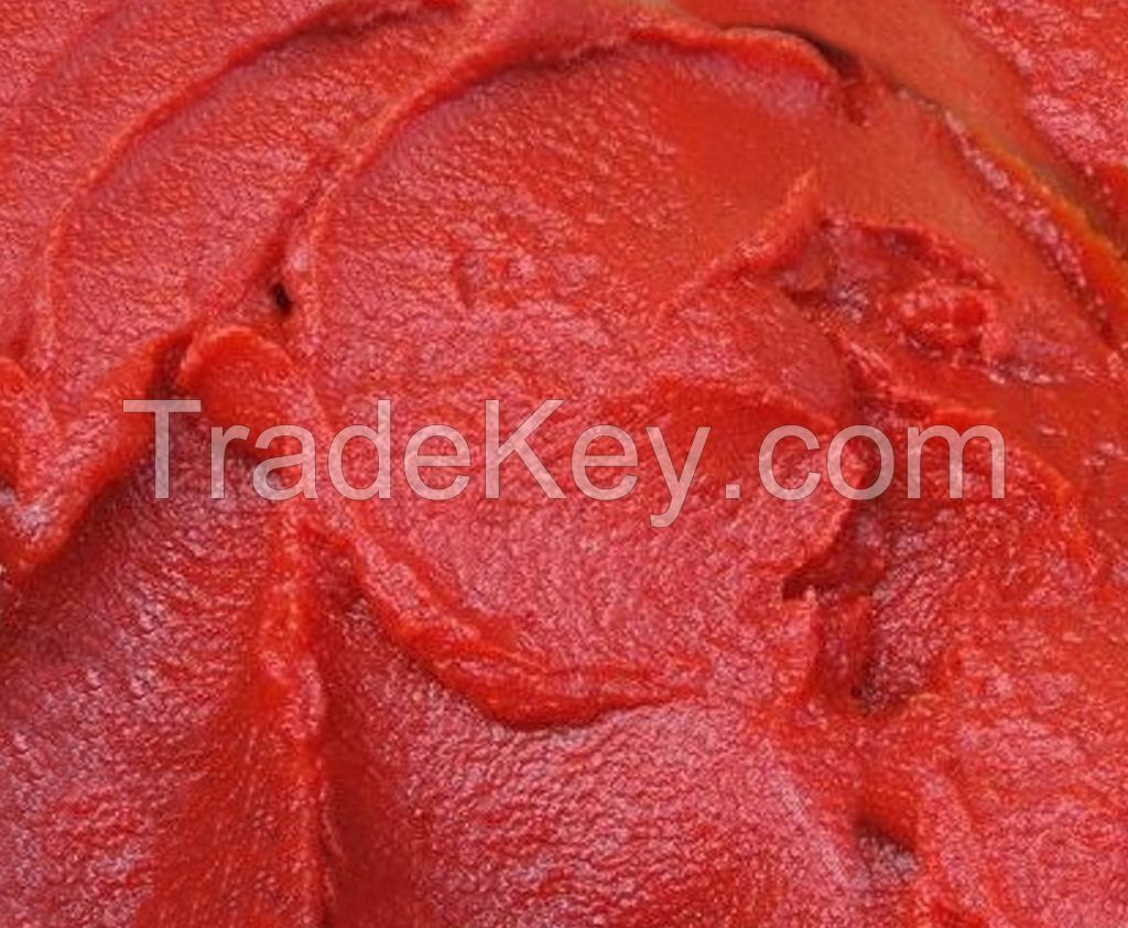 Tomato ketchup, Tomato paste and sauce 