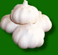 garlic