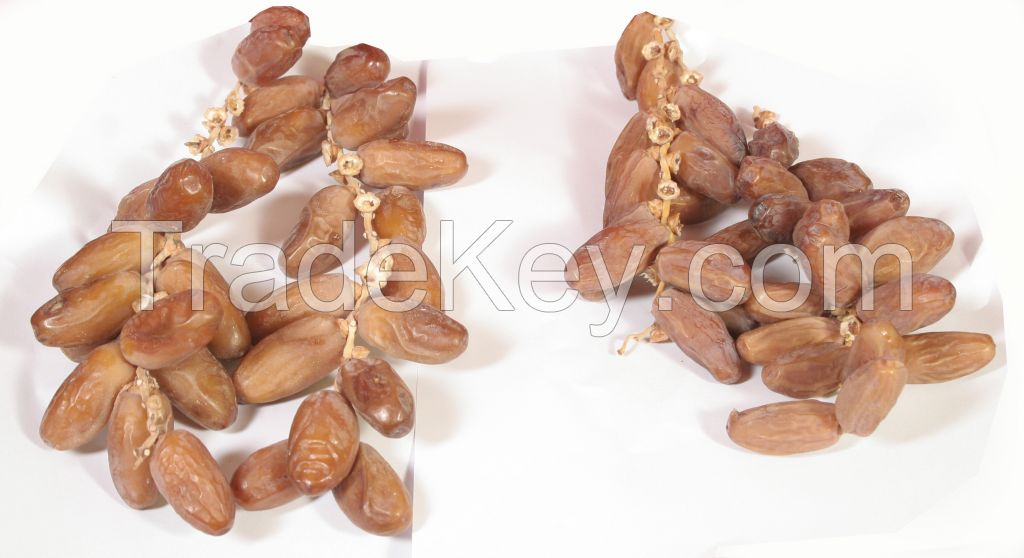 Tunisian Dates Deglet Nour