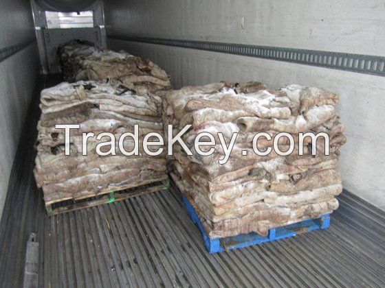 Wet And Dry Salted Donkey Hides, Cow Hides, Horse Hides