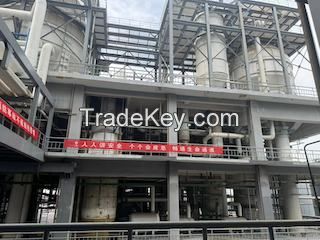 vacuum salt processing line