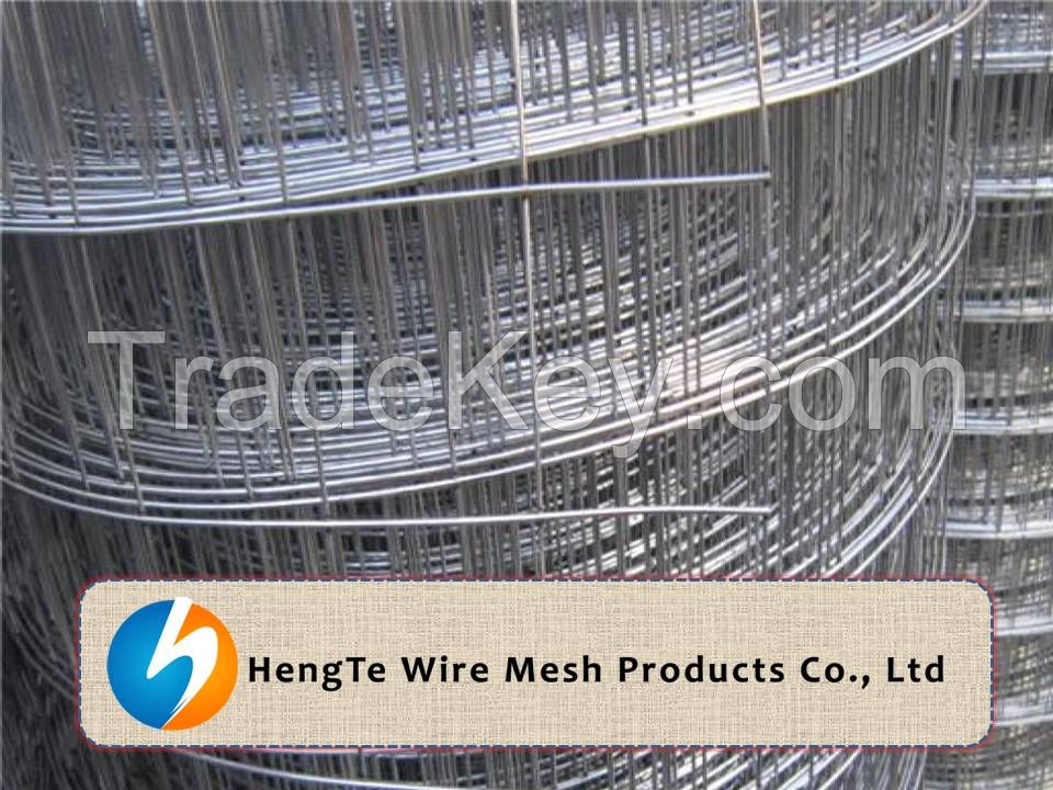 Galvanized Welded Wire Mesh Rolls &amp; Panels