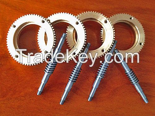 Precision worm and worm gear